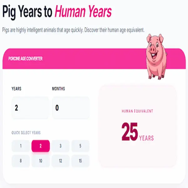 Pig Age Calculator